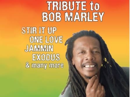 Bob Marley Tribute